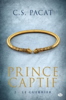 prince-captif-tome-2-le-guerrier-572837-264-432.jpg